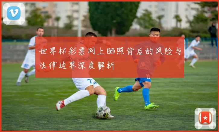 世界杯彩票网上晒照背后的风险与法律边界深度解析