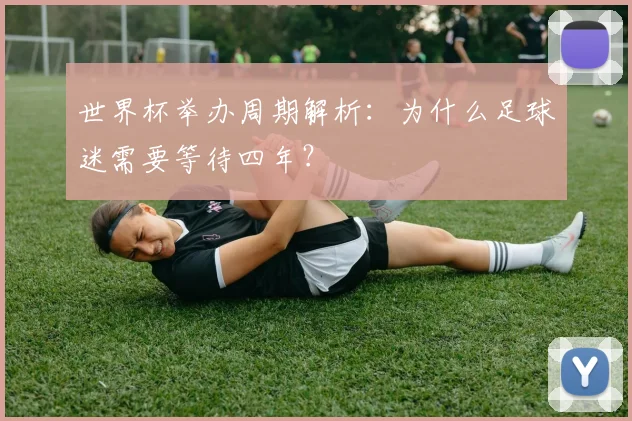 世界杯举办周期解析：为什么足球迷需要等待四年？