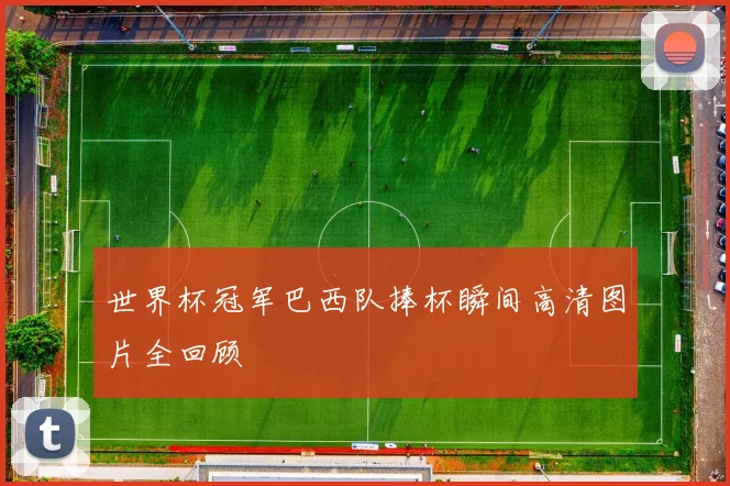世界杯冠军巴西队捧杯瞬间高清图片全回顾