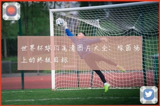 世界杯球门高清图片大全：绿茵场上的终极目标