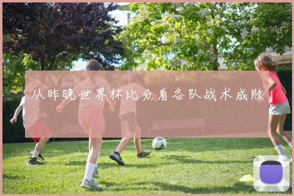 从昨晚世界杯比分看各队战术成败
